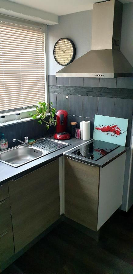 Plaisir Extreme Apartman Roanne Kültér fotó